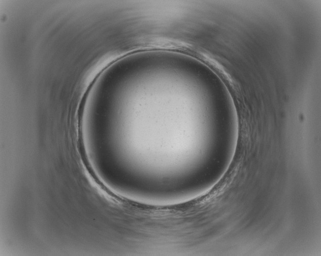X0000061761479200512021457