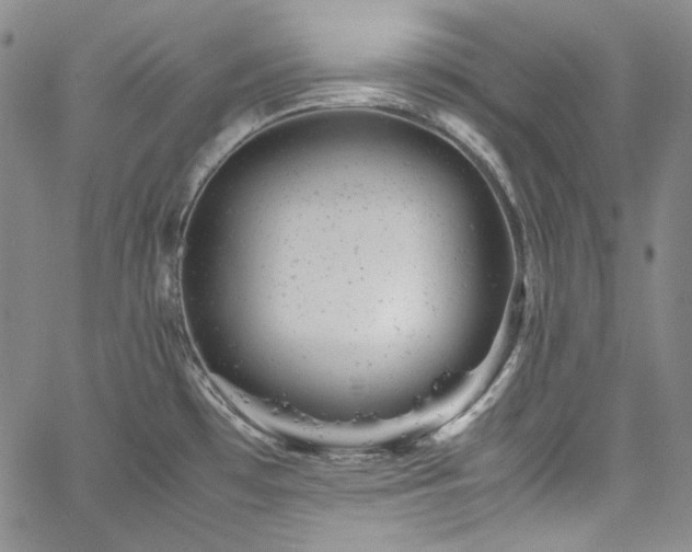 X0000061761481200512021457