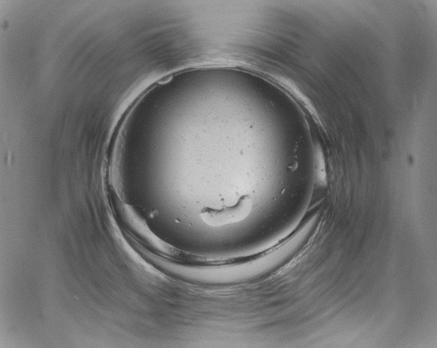 X0000061761484200512021457
