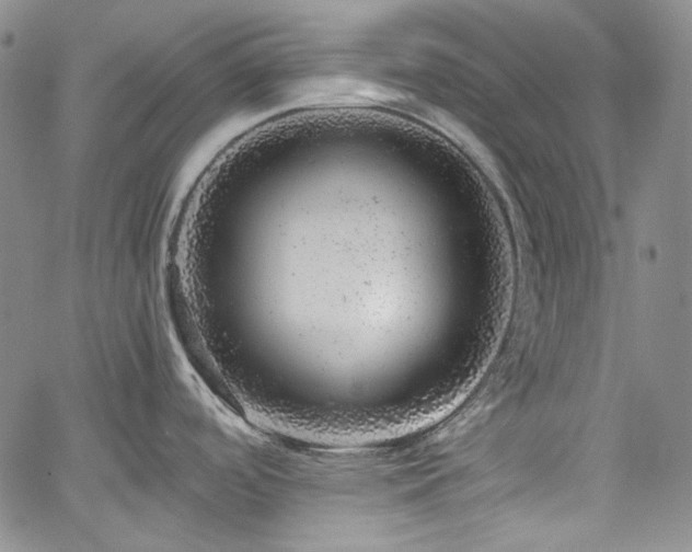 X0000061761488200512021457