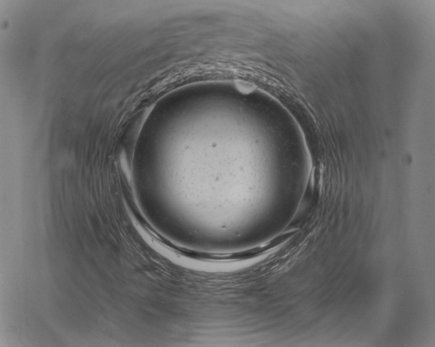 X0000061761490200512021456