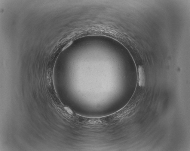 X0000061761491200512021456