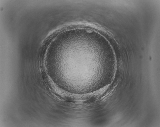 X0000061761494200512021456