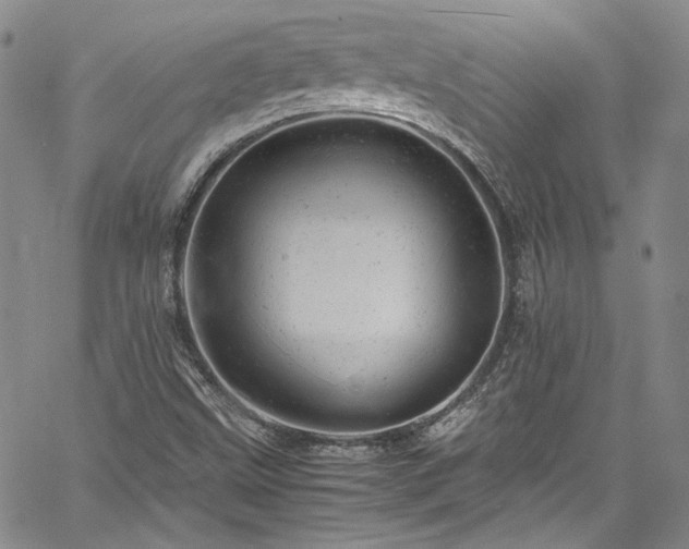 X0000061761499200512021456
