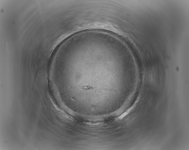 X0000061761505200512021456