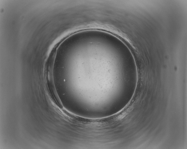 X0000061761510200512021457