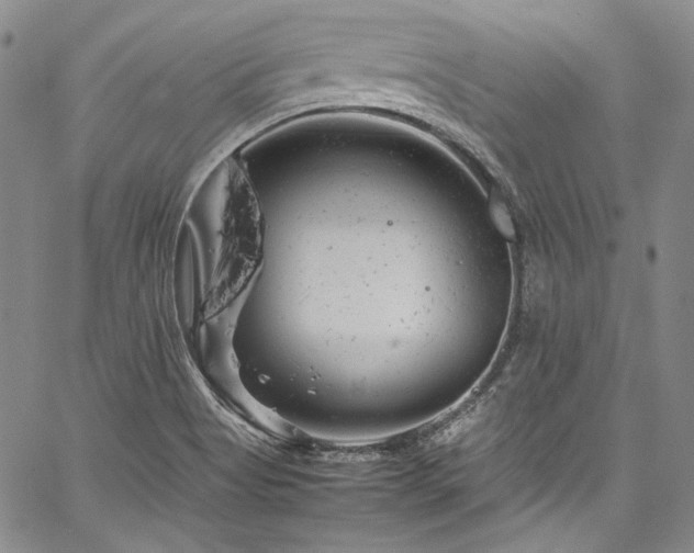 X0000061761513200512021457
