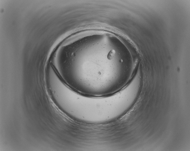 X0000061761514200512021457