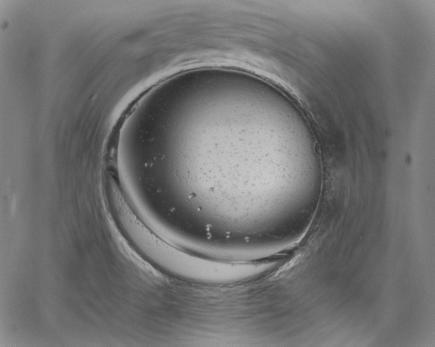 X0000061761518200512021457