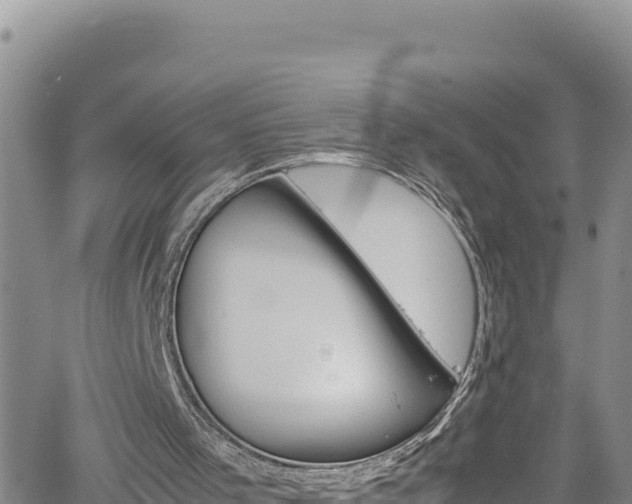 X0000061760001200512050945