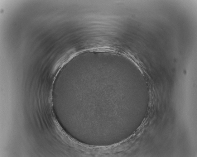 X0000061760002200512050945