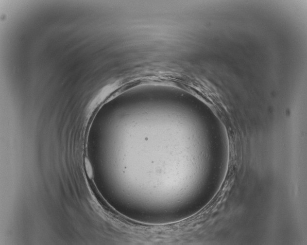 X0000061760003200512050945