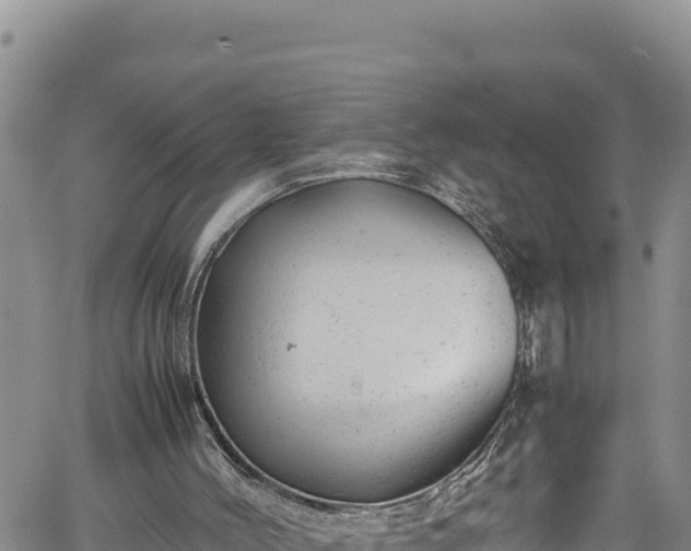 X0000061760004200512050945