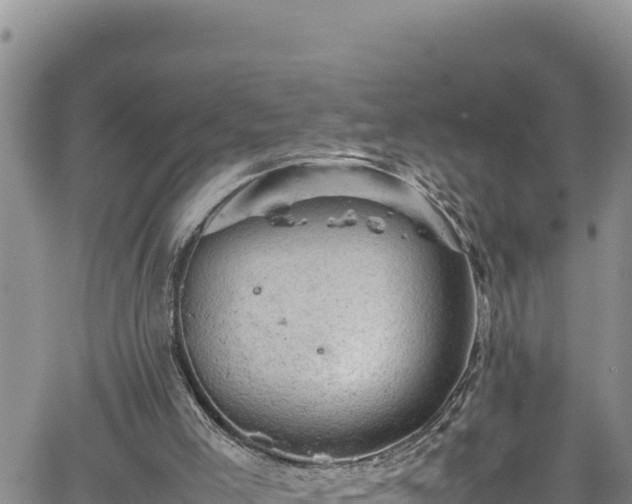 X0000061760005200512050945