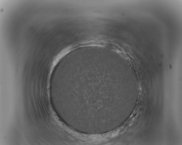 X0000061760006200512050945