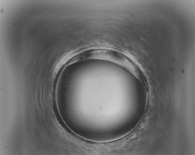 X0000061760007200512050945