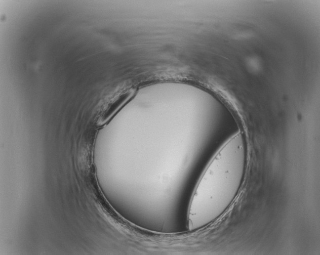 X0000061760009200512050945