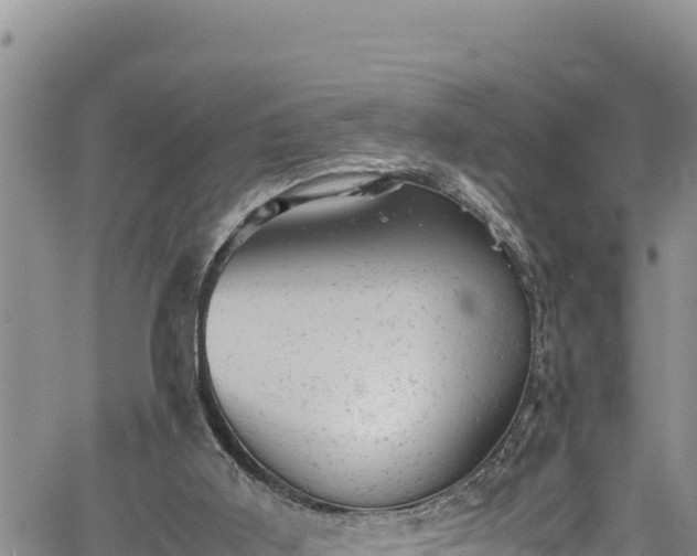 X0000061760011200512050945