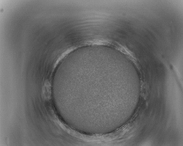 X0000061760012200512050945