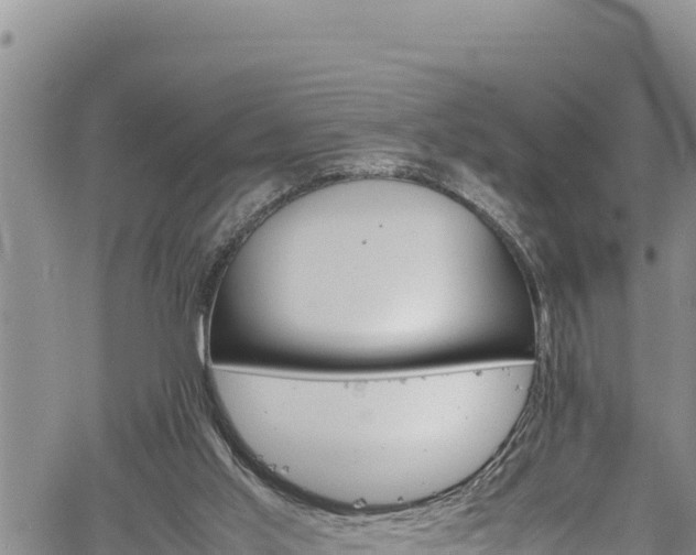 X0000061760013200512050945