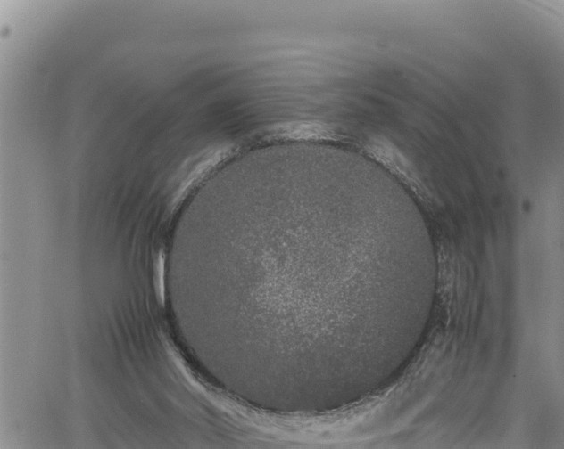 X0000061760014200512050945