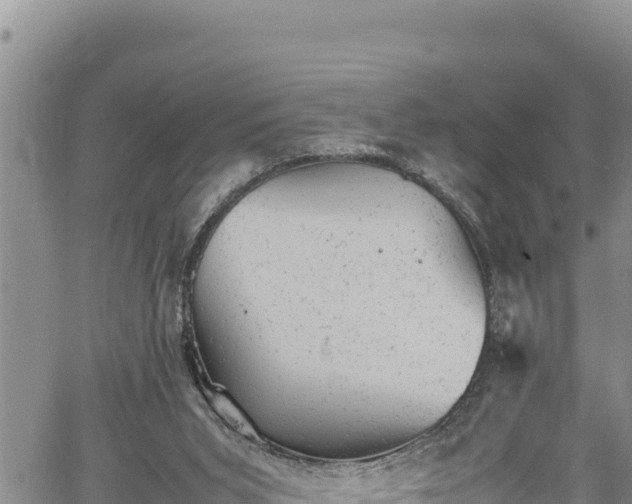 X0000061760015200512050945