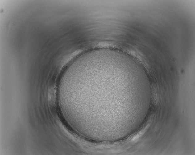 X0000061760016200512050945