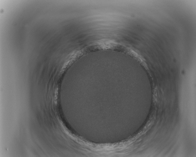 X0000061760018200512050945