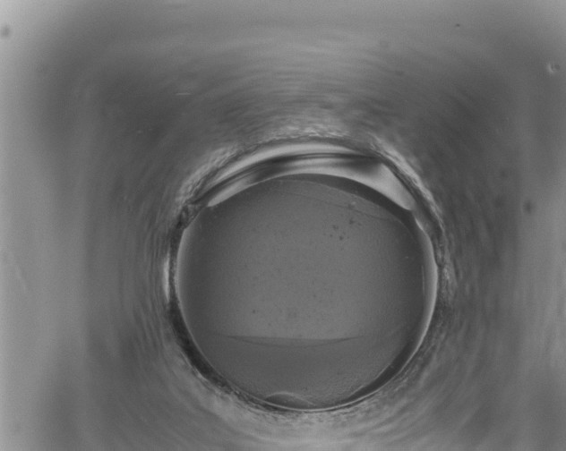 X0000061760019200512050945