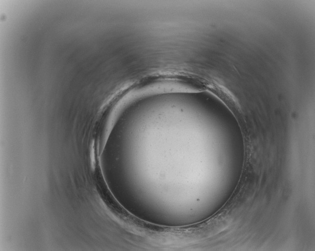 X0000061760020200512050945