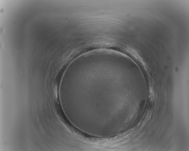 X0000061760021200512050944