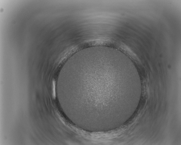 X0000061760022200512050944