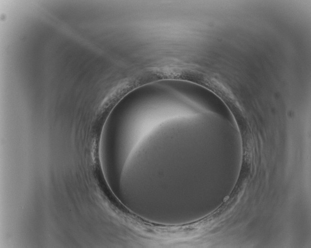 X0000061760023200512050944