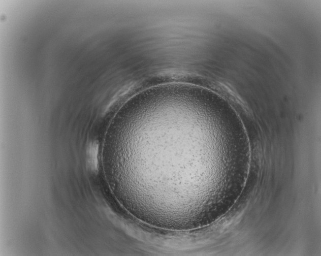 X0000061760024200512050944