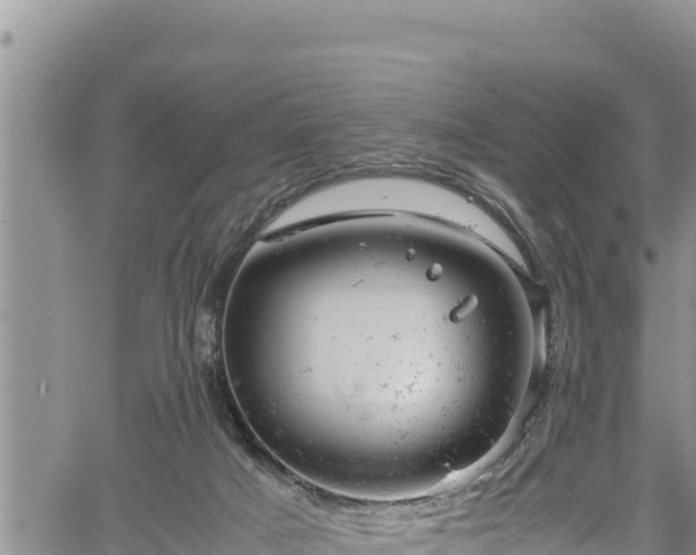 X0000061760025200512050944