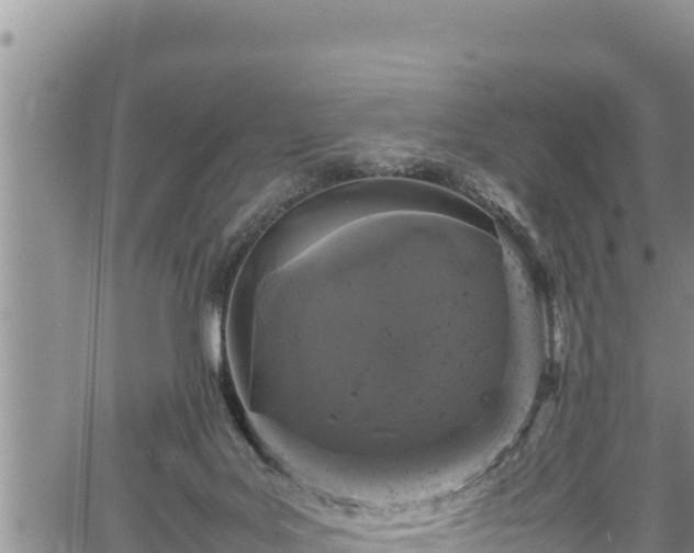 X0000061760027200512050944