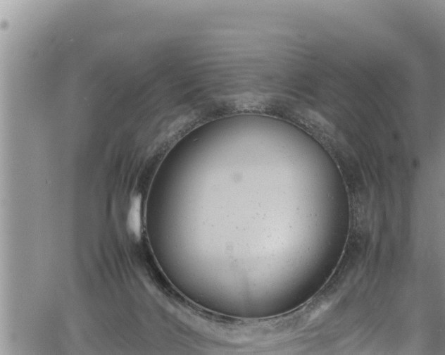 X0000061760028200512050944