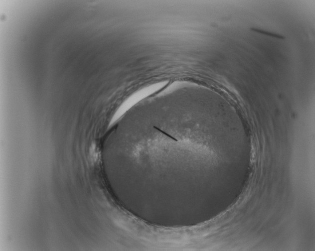 X0000061760029200512050944