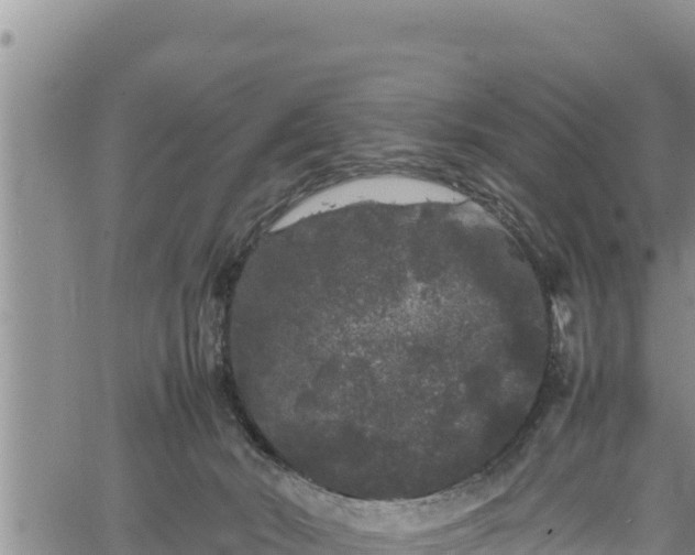 X0000061760030200512050944