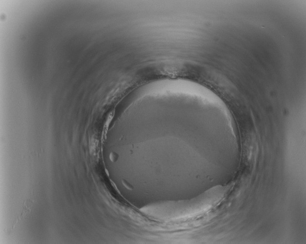 X0000061760031200512050944