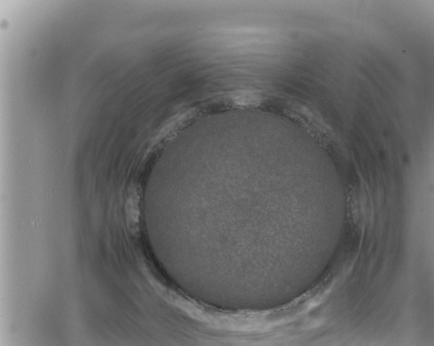 X0000061760032200512050944