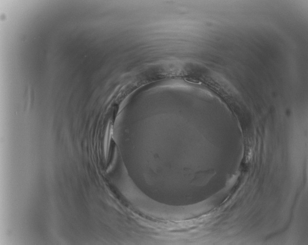 X0000061760035200512050944