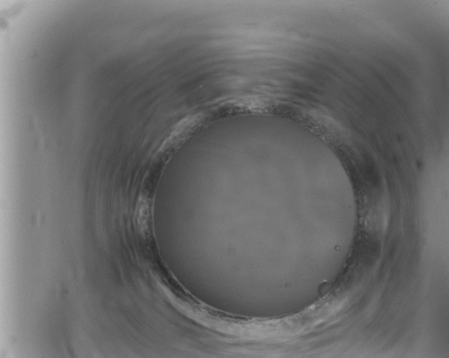 X0000061760036200512050944