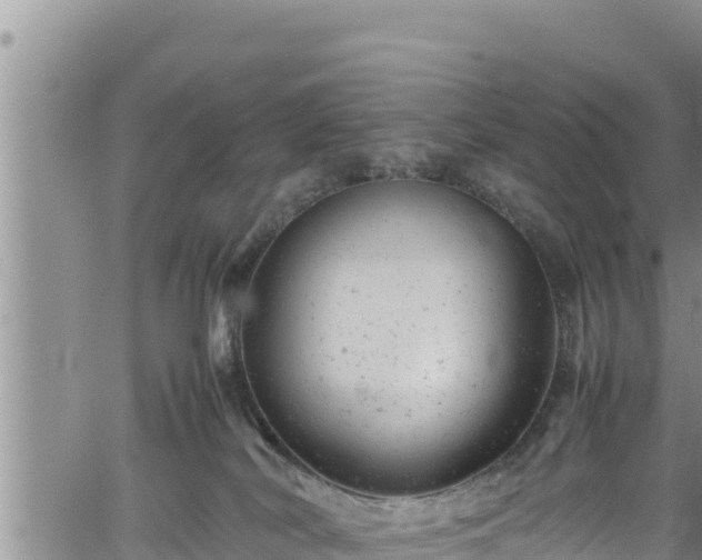 X0000061760038200512050944