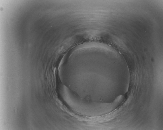 X0000061760039200512050944