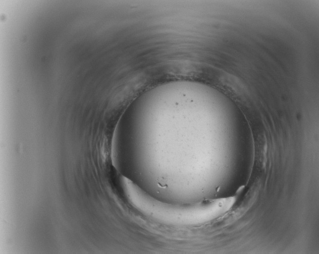 X0000061760040200512050944