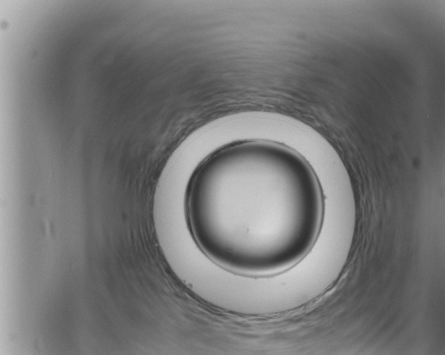 X0000061760041200512050944