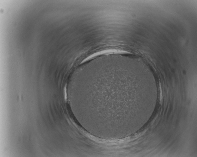 X0000061760042200512050944