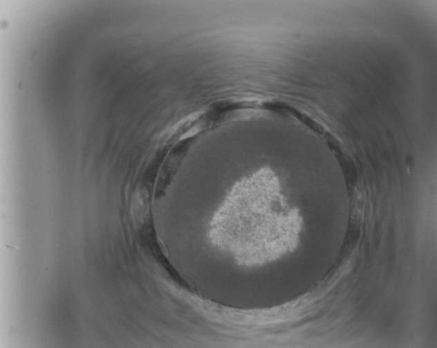 X0000061760043200512050944