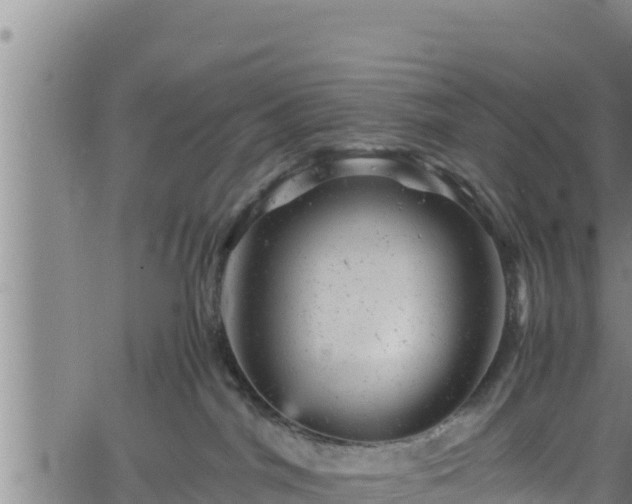 X0000061760044200512050944